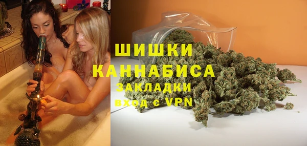 гидра Алексин