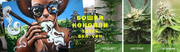 первитин Алексеевка