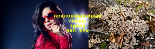 первитин Алексеевка