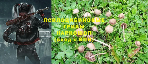 гидра Алексин