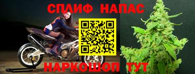 стафф Анапа